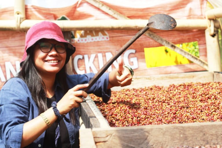 Mahniwati, perempuan adat Bayan saat proses penjemuran kopi di Desa Senaru, Kabupaten Lombok Utara. Foto: Mongabay Indonesia/Fathul Rakhman. Foto: Mongabay Indonesia/Fathul Rakhman