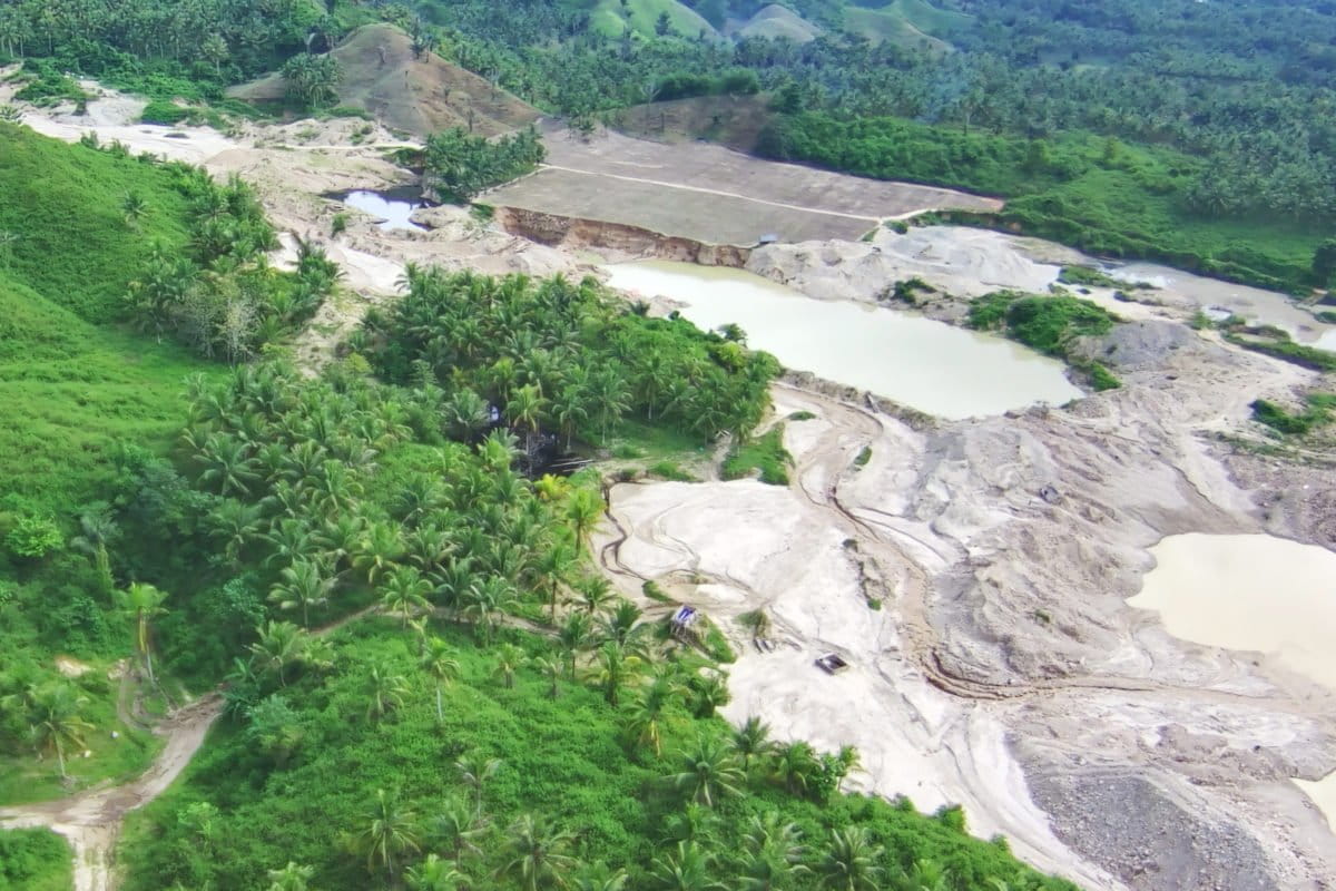 Cagar alam Panua, terjarah tambang emas. Foto: Sarjan Lahay/ Mongabay Indonesia