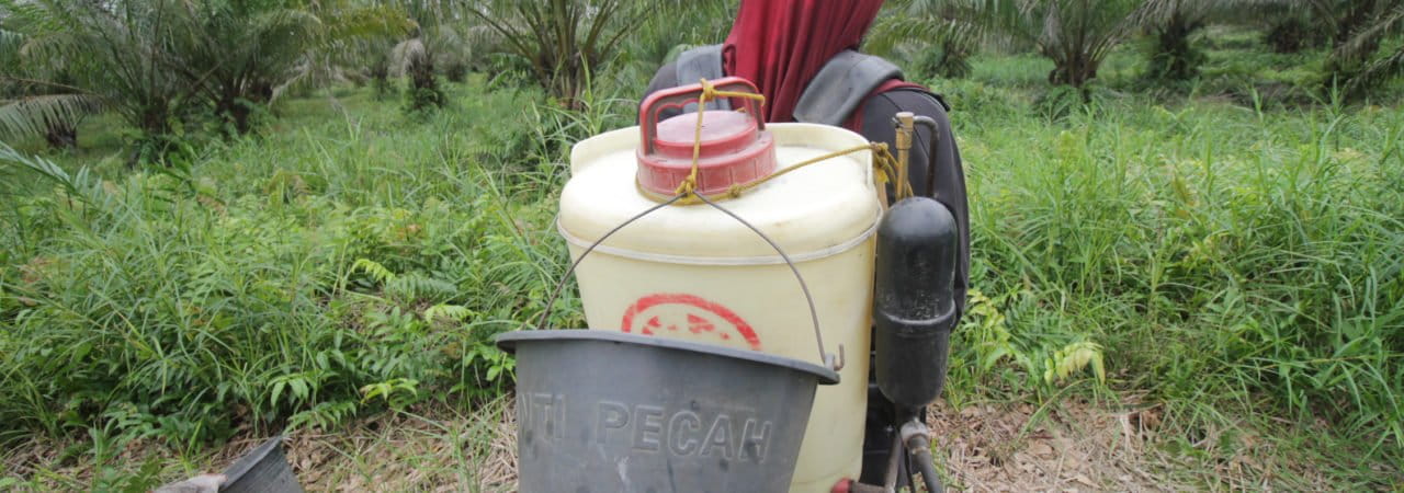 Buruh sawit perempuan di perusahaan perkebunan sawit bersiap menyemport. Foto: Elviza Diana/ Mongabay Indonesia