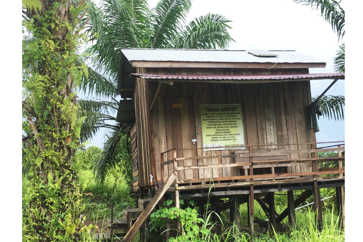 Penandaan lahan-lahan di bekas konsesi di sekitar proyek IKN NUsantara. Foto: Richaldo Hariandja/ Mongabay Indonesia