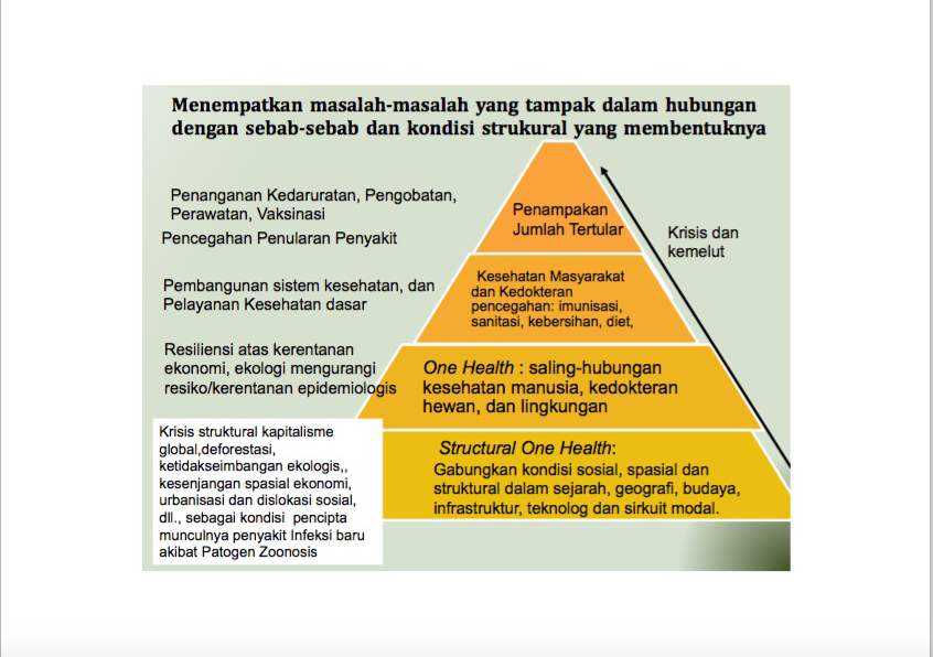 Sumber: Modifikasi dari R. Wallace et al (2015) “The dawn of Structural One Health: A new science tracking disease emergence along circuits of capital”, Social Science and Medicine (2015) 129 68-77