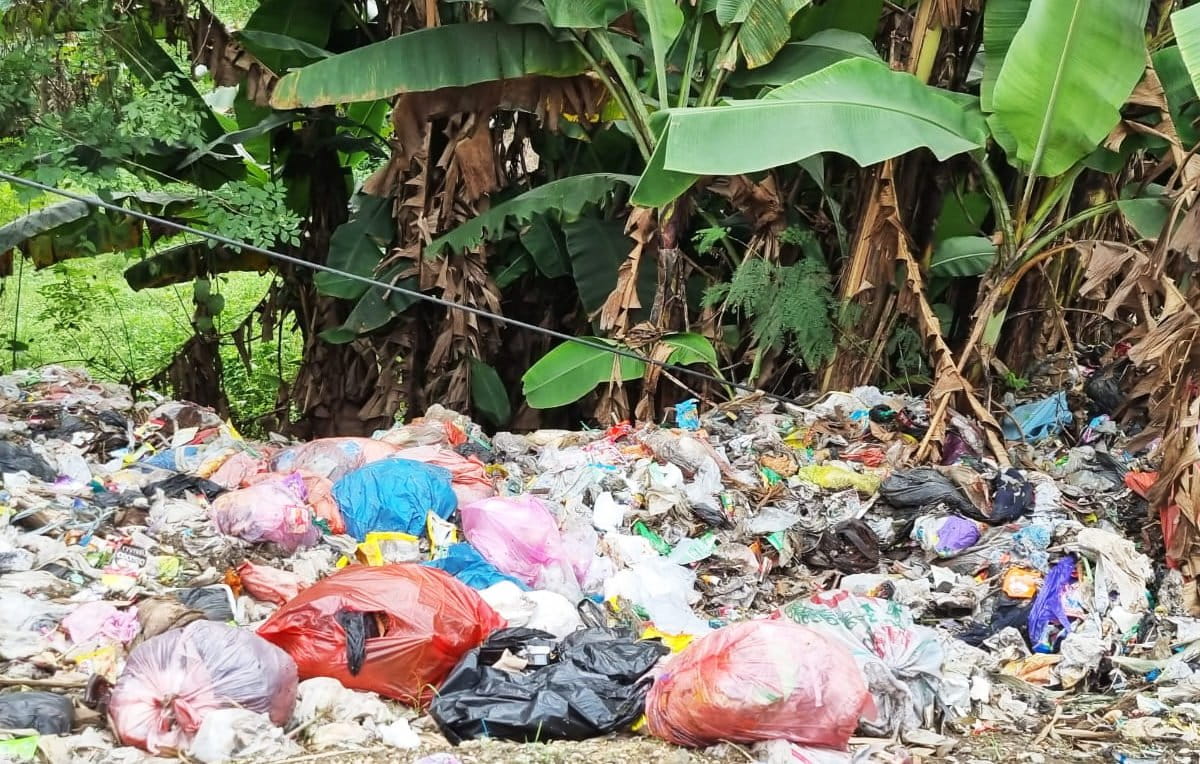 Sampah plastik sekali pakai jasdi persoalan besar, terlebih saat buang sembarang tempat dan berakhir jadi pencemaran lingkungan darat maupun laut. Foto: Sapariah Saturi/ Mongabay Indonesia