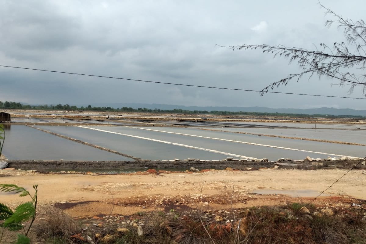 Lahan petani garam di Madura. Foto: Moh Tamimi/ Mongabay Indonesia