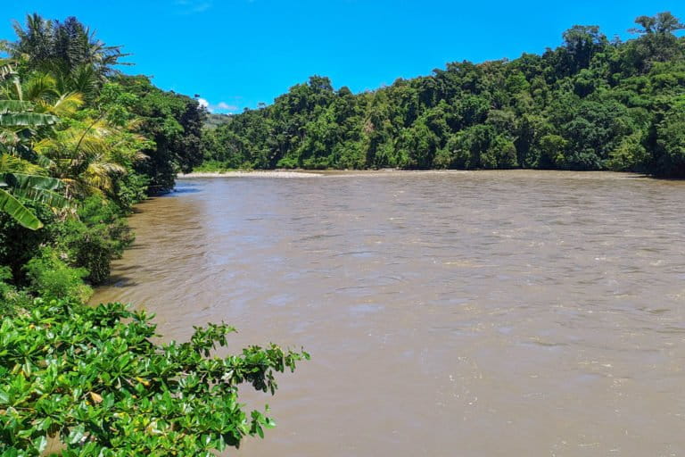 Sungai Karama, sungai dengan aliran deras dan tepian yang sebagian tertutup rapat dengan hutan. Foto: Agus Mawan/ Mongabay Indonesia