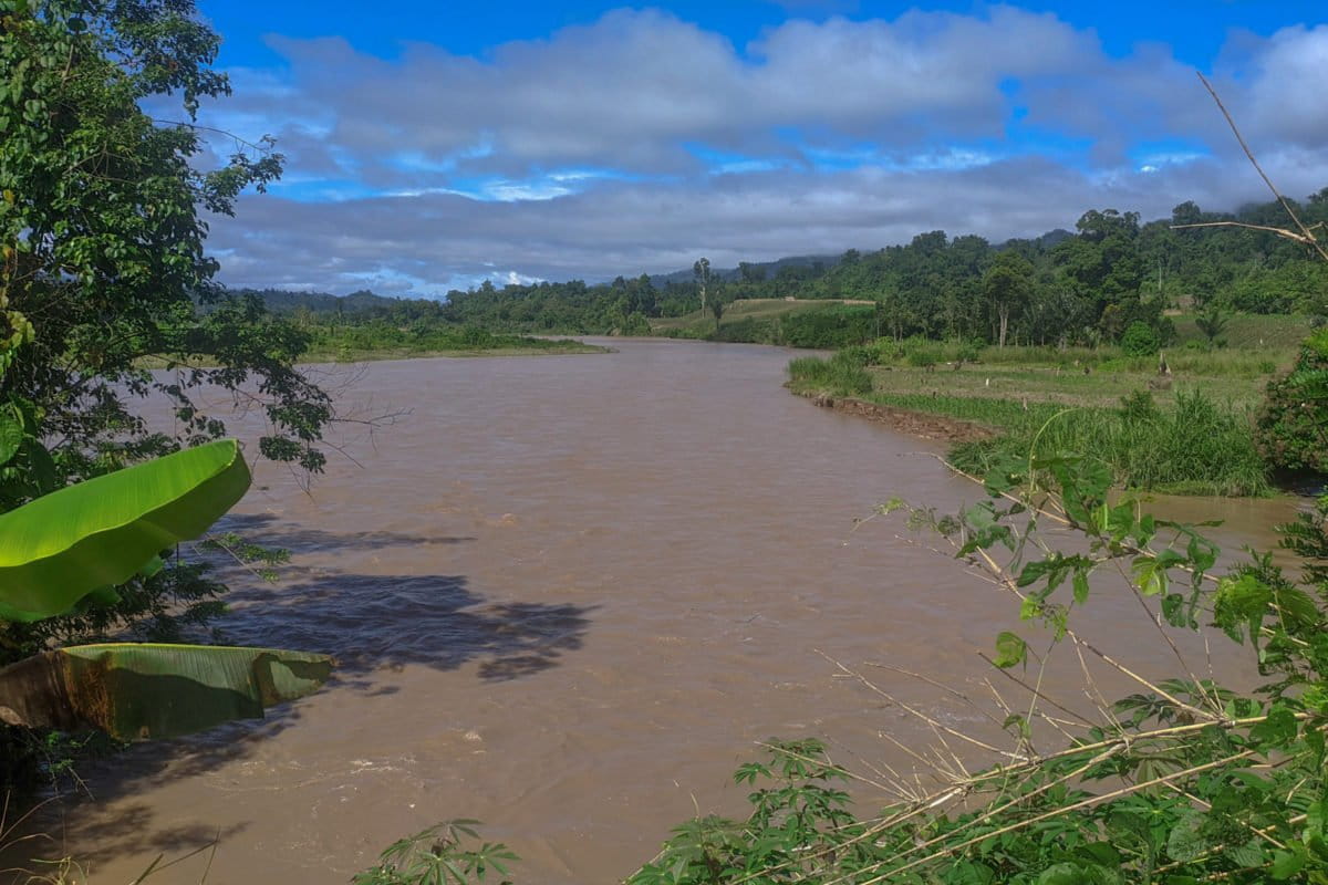Sungai Karama, yang akan dibendung untuk PLTA. Foto: Agus Mawan/ Mongabay Indonesia