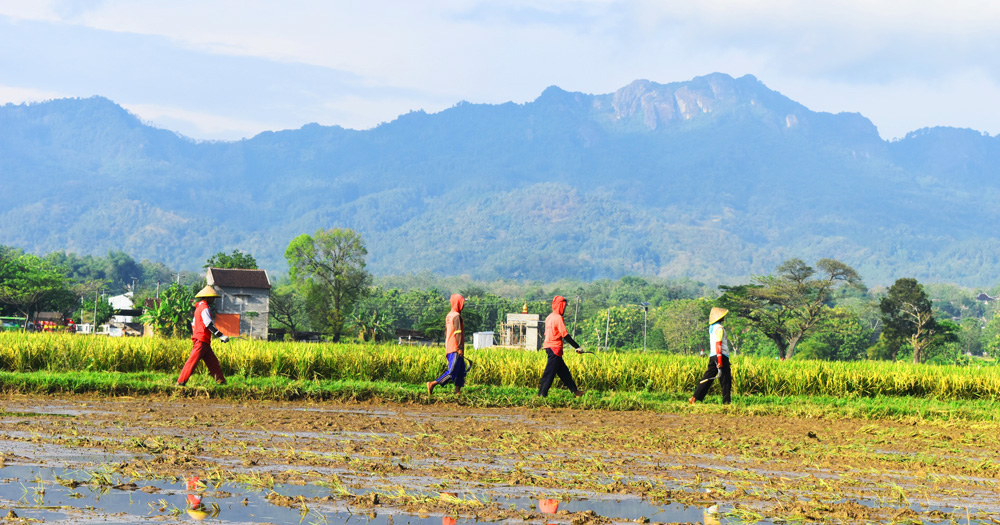 Pemukiman warga sampai lahan pertanian nan subur ini bakal hilang berganti galian-galian tambang emas kalau perusahaan itu jadi beroperasi. Foto: A. Asnawi/ Mongabay Indonesia