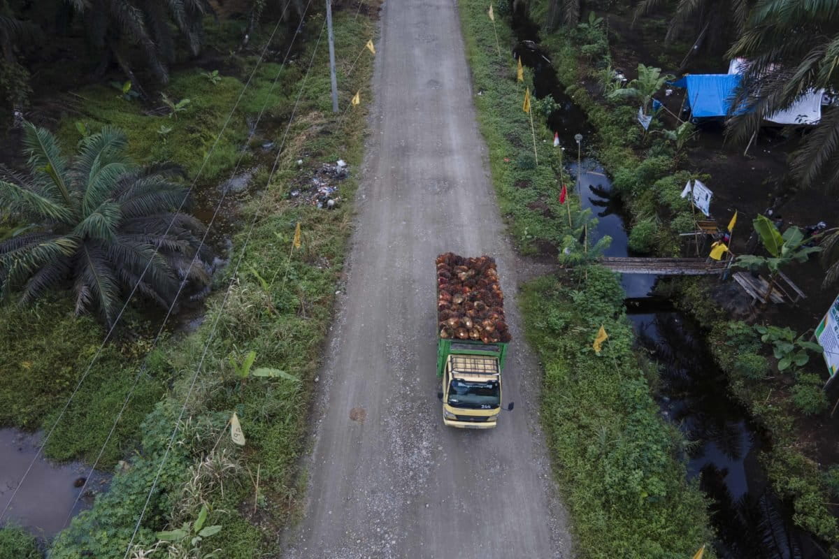 Jalan di tengah perkebunan sawit, PT Anam Koto di Pasaman Barat. Perusahaan bermansalah lahan dengan warga sejak puluhan tahun lalu hingga kini. Foto: Jaka Hendra B/ Mongabay Indonesia