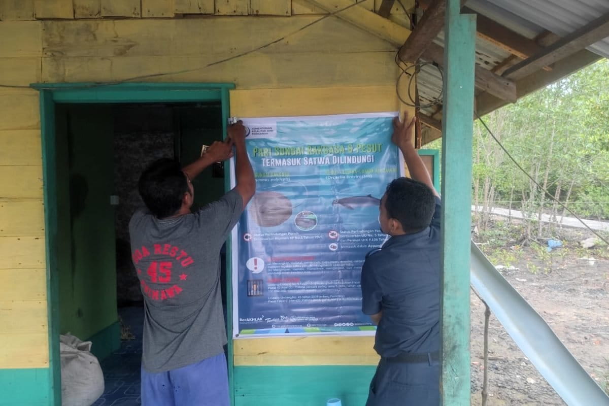 Sosialiasi ikan dilindungi dBPSPL Padangi Meranti. Foto: 