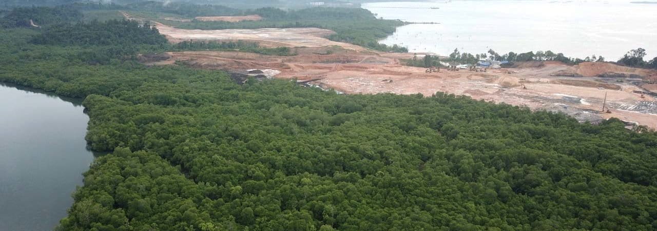 Hutan mangrove dengan tutup rapat di Teluk Balikpapan ini terbabat ilegal oleh PT MMP. Foto: Richaldo H/ Mongabay Indonesia