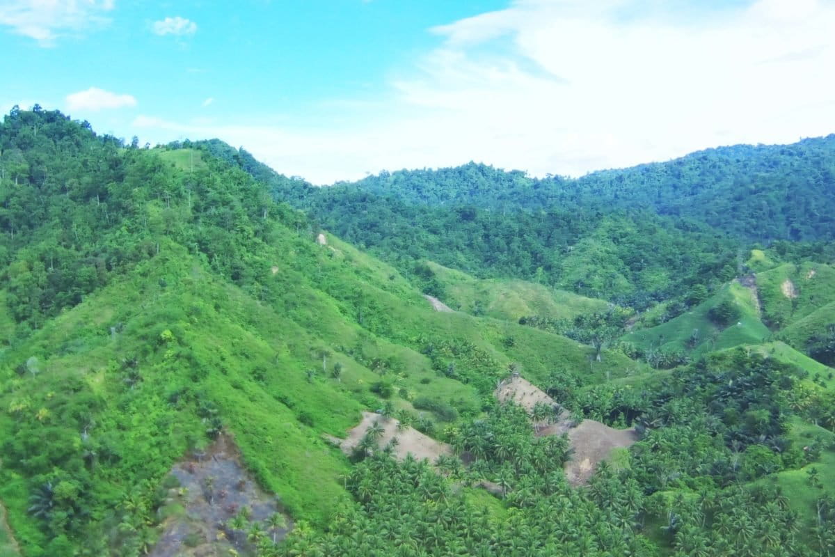 Cagar Alam Banua. yang terancam tambang emas ilegal. Bahkan, sebagian kawasan cagar alam ini sudah terjarah tambang emas. Foto: Sarjan Lahay/ Mongabay Indonesia