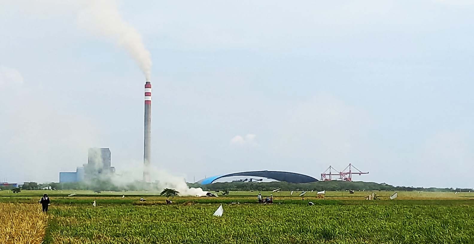 PLTU INdramayu 1, mulai co-firing antara bomassa dan batubara. Di lapangan, warga juga mengeluhkan debu dari pengangkutan bahan-bahan biomassa. JUga asap yang mengepul memenuhi perkampungan. Foto: Indra Nugraha/ Mongabay Indonesia