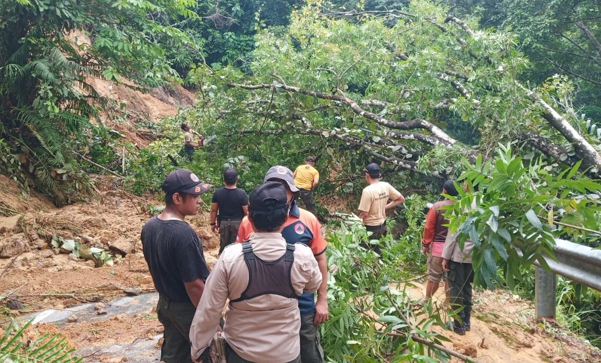  Longsor di Jalan Kelok S menuju Sungai Pisang, jalan menuju PLTU Teluk Sirih, dan di Sekretariat Koperasi Anak Nagari Teluk Kabung (Kanteka). Foto: Vinolia/ Mongabay Indonesia