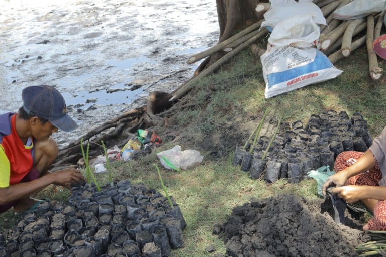 Para perempuan sedang siapkan bibit mangrove untuk kemudian ditanam di pantai Tanjung Gasan. Foto: Jaka Hendra B/ Mongabay Indonesia