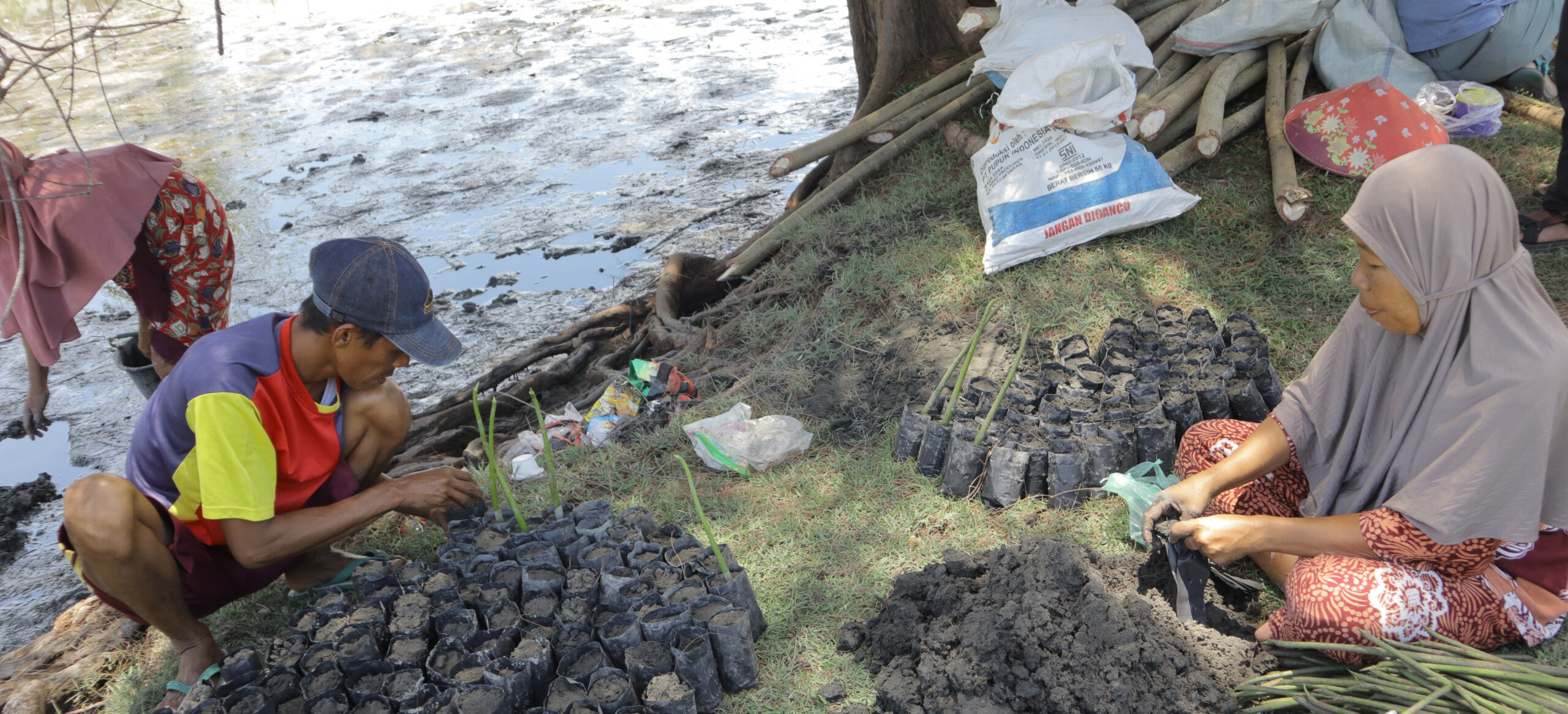 Para perempuan sedang siapkan bibit mangrove untuk kemudian ditanam di pantai Tanjung Gasan. Foto: Jaka Hendra B/ Mongabay Indonesia
