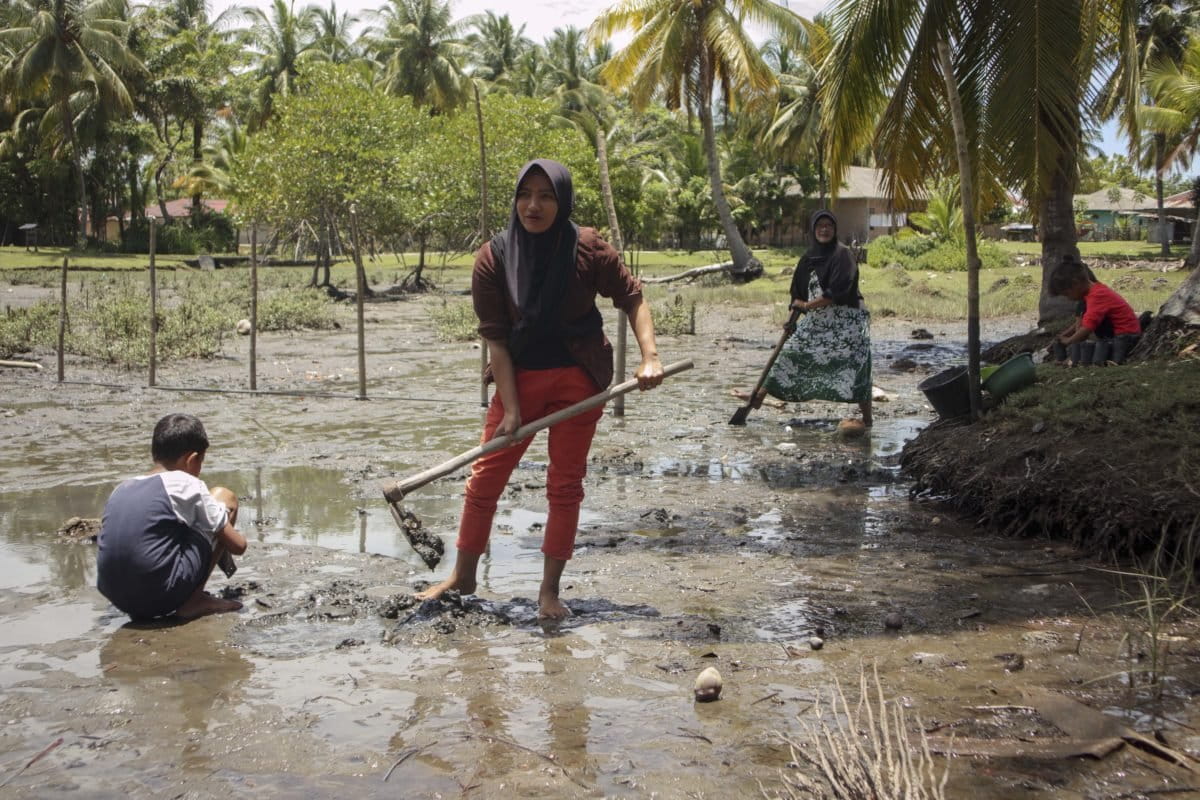 Para perempuan dan anak tanam mangrove di Tanjung Gasan. Foto: Jaka Hendra B/ Mongabay Indonesia