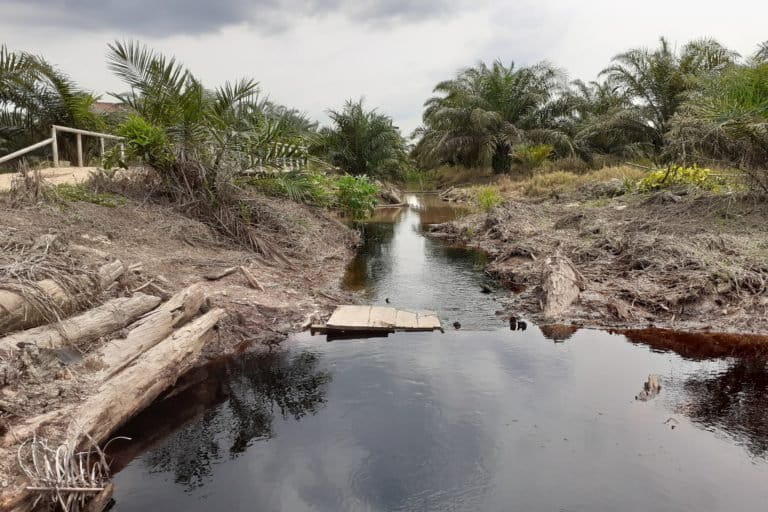 Kanal di kebun sawit di lahan gambut. Foto: Suryadi/ Mongabay Indonesia