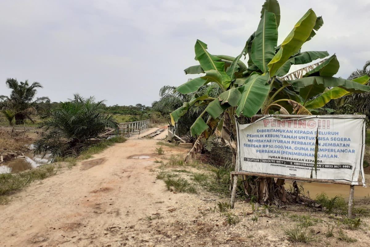 Kebun warga yang diklaim masuk konsesi perusahaan? Foto: Suryadi/ Mongabay Indonesia