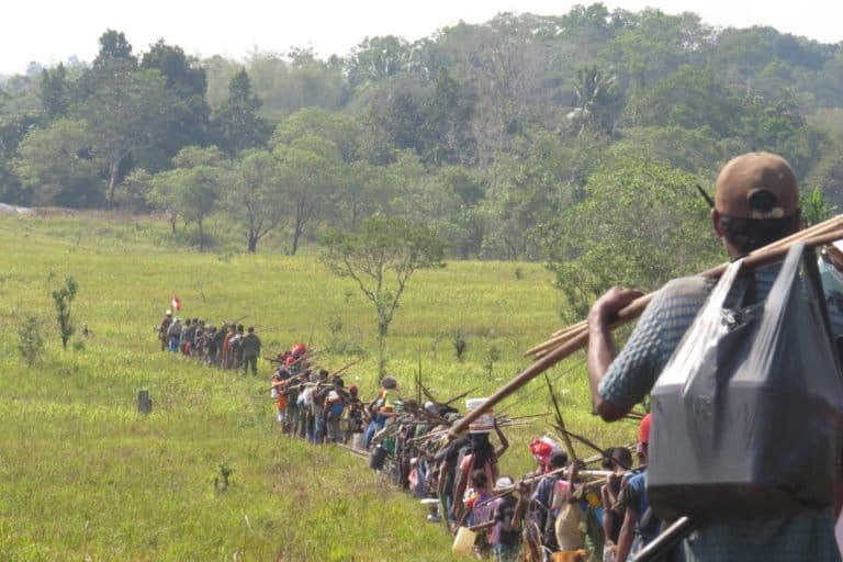 Tradisi tordouk, seluruh warga, laki, perempuan, anak-anak terlibat di dalam ritual berburu ini. Lokasi ini yang akan dijadikan bagian dari lokasi peternakan sapi. Foto/Dok: Forest Watch Indonesia