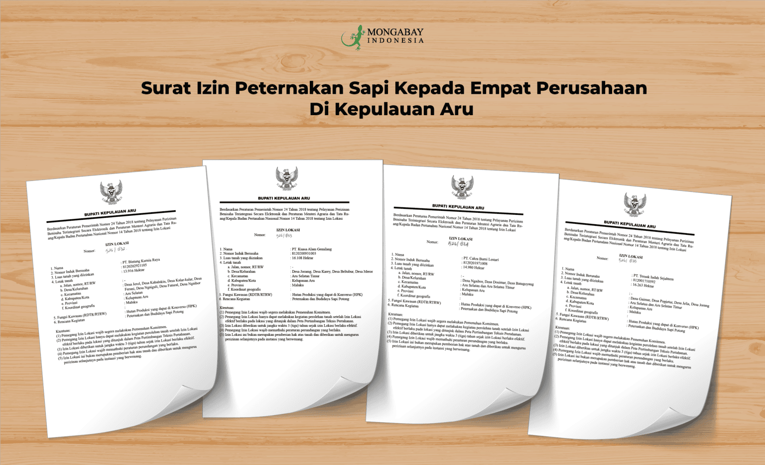Surat izin lokasi untuk peternakan sapi yang dikeluarkan oleh Bupati Aru
