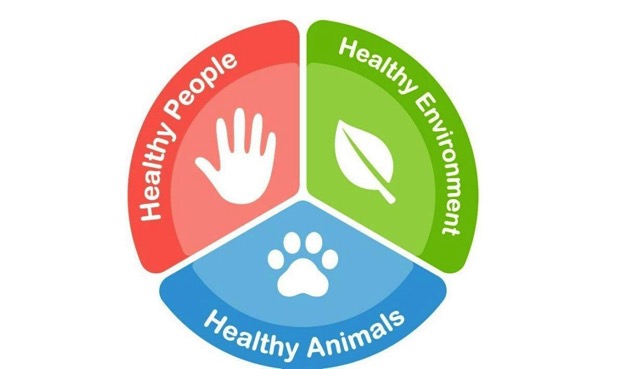 One health, konsep melihat keseimbangan secara komprehensif. Sumber: Shutterstock