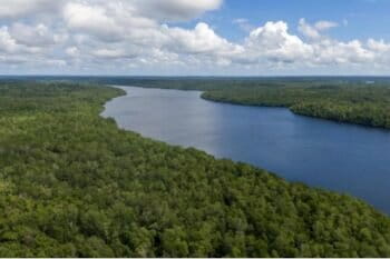 Foto aerial kondisi tutupan hutan alam di Pulau Trangan yang dipisahkan oleh selat-selat kecil. Tampak hutan mangrove rapat menutupi tepian selat. Foto/Dok: Forest Watch Indonesia