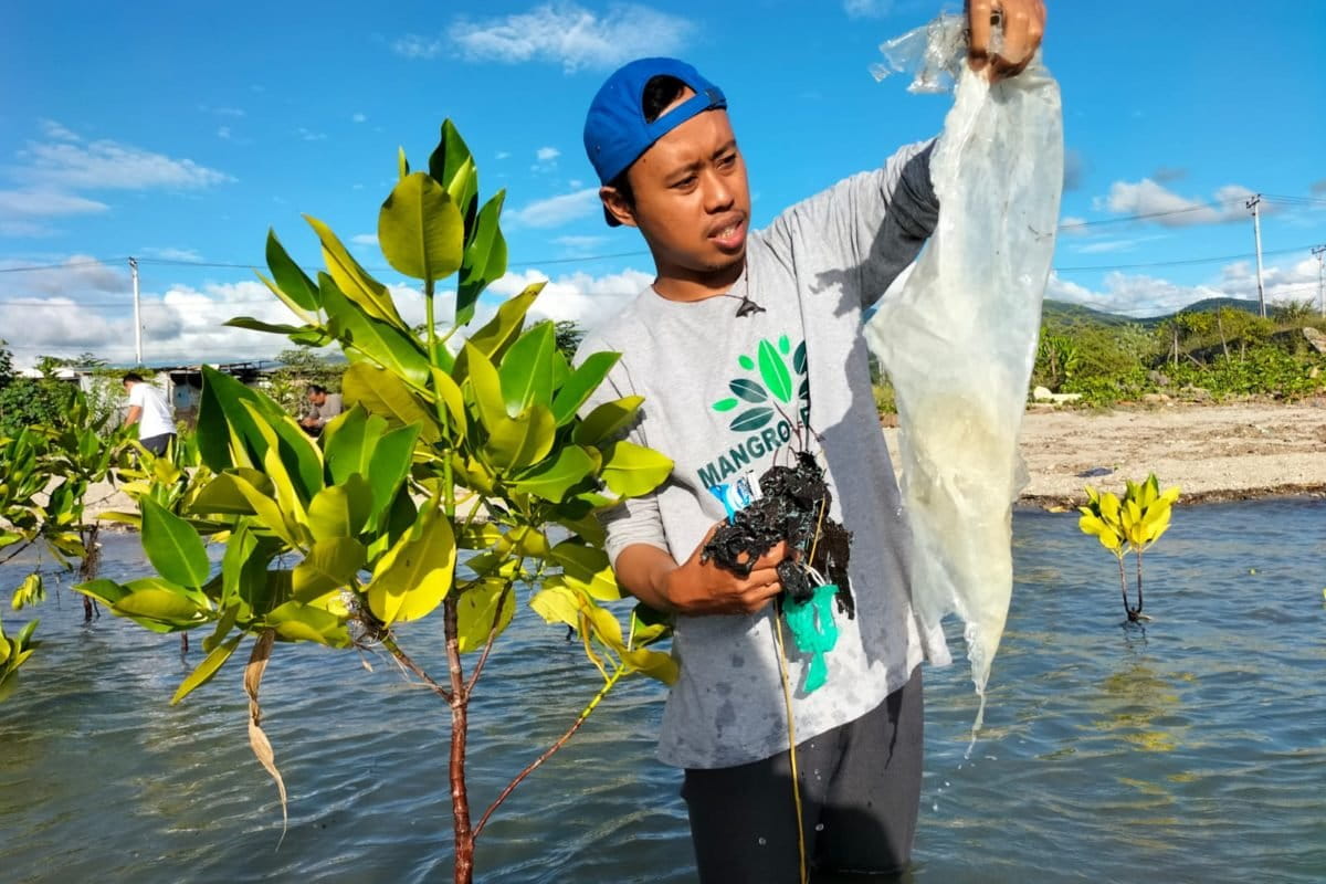 Sampah di sekitar tanaman mangrove di Teluk Palu. Foto: Tim ESN