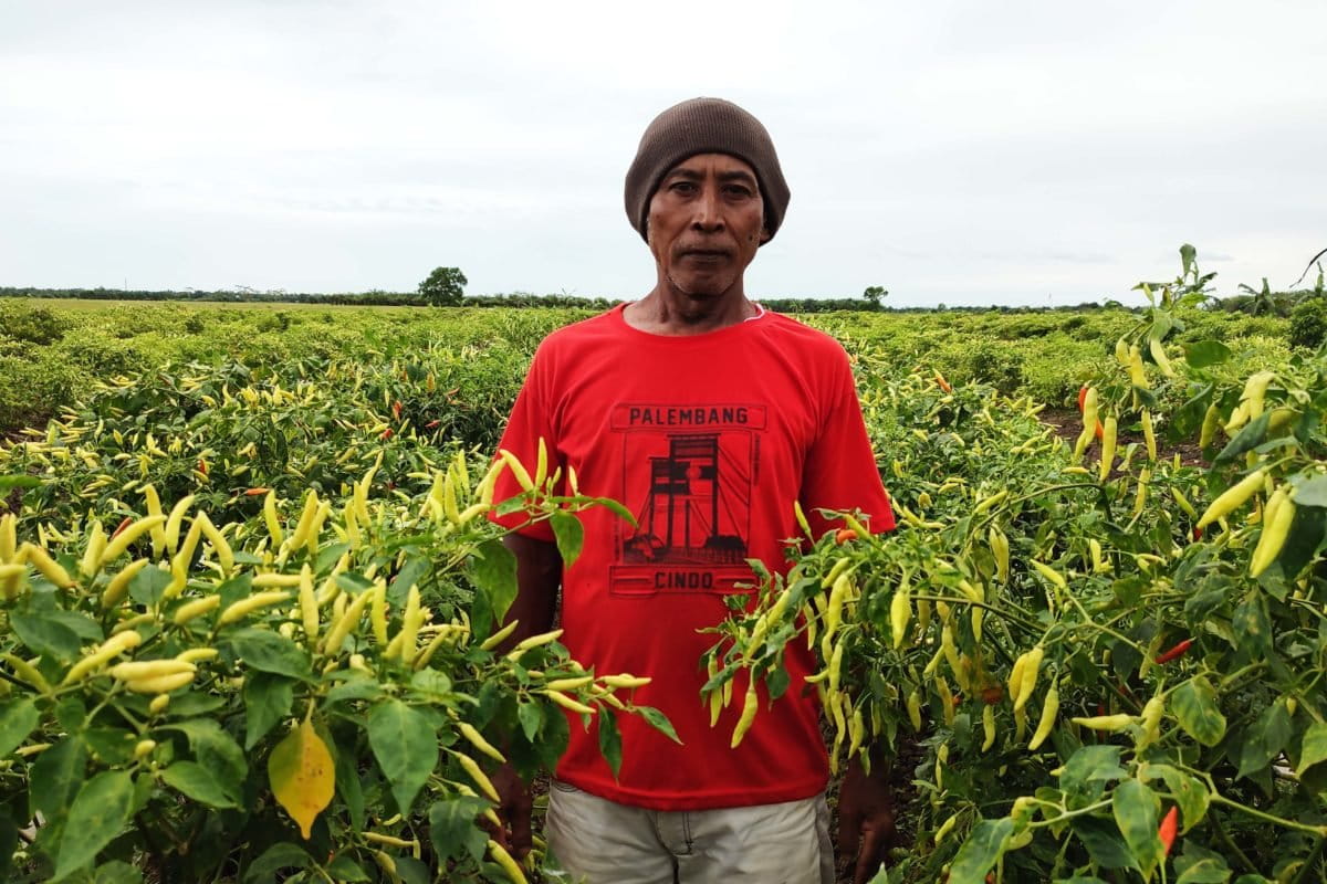 Suyono dikenal sebagai Petani Lombok yang berhasil. Foto: Abdallah Naem/Mongabay Indonesia. 