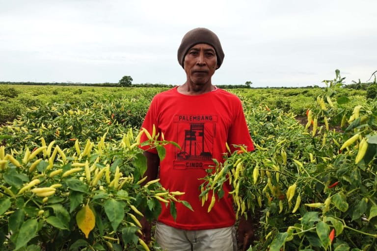 Suyono dikenal sebagai Petani Lombok yang berhasil. Foto: Abdallah Naem/Mongabay Indonesia.