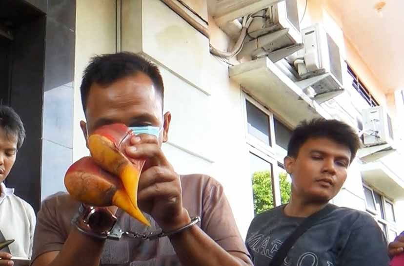 Paruh rangkong gading sitaan di Sumut. Foto: Ayat S Karokaro/ Mongabay Indonesia
