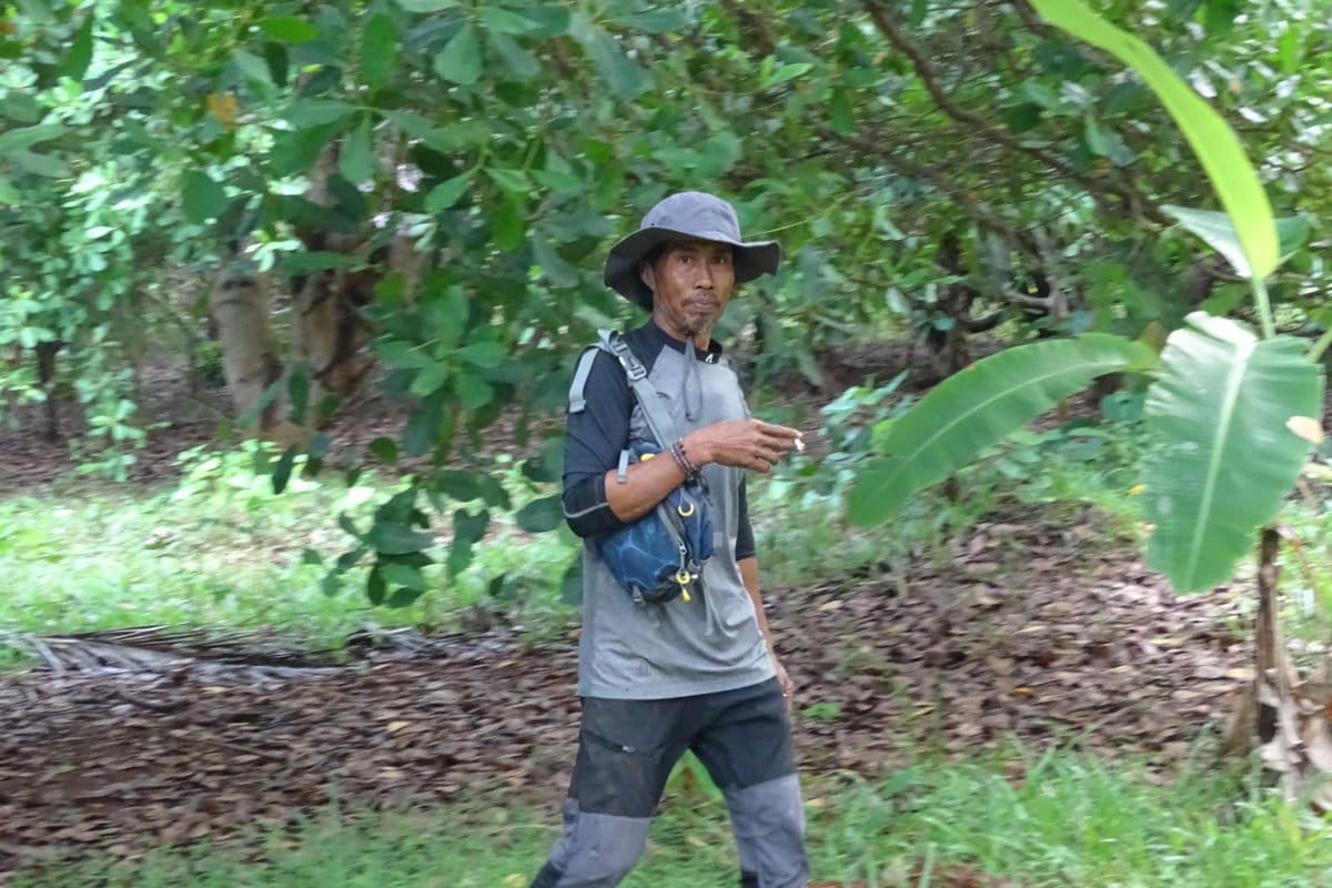Usman Daeng Mangung, Koordinator Masyarakat Mitra Polisi Kehutanan, Balai Konservasi Sumber Daya Alam (Polhut BKSDA) Madura yang sehari-hari mengamati kehidupan si jambul kuning di Masakambing Foto: M Tamimi/ Mongabay Indonesia