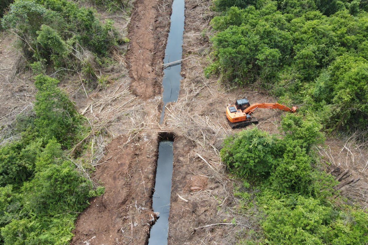 Kanal yang dibangun PT TUm, di lahan gambut, menuju pantai dan membelah hutan. Foto: Suryadi/ Mongabay Indonesia