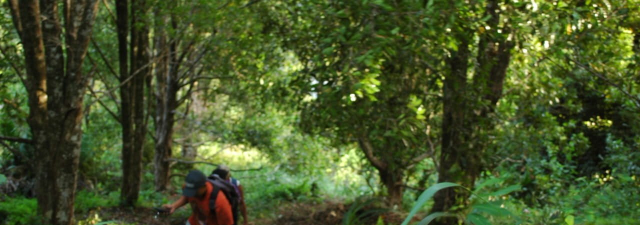 Kebucengkih pemuda Kalaodi. Foto: Walhi Malut/ Mongabay Indonesia