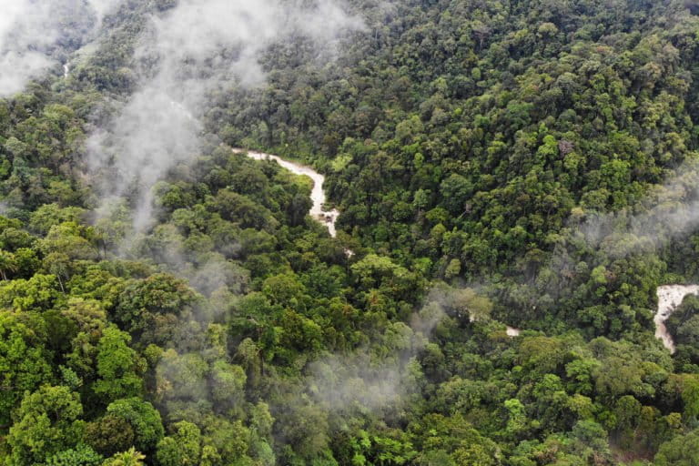 Hutan batang Toru dengan aliran sungai yang mengalir dan menjadi tumpuan hidup masyarakat sekitar. Foto: Junaidi Hanafiah/ Mongabay Indonesia