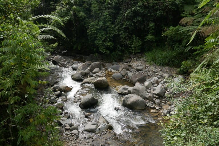 Sungai Sitandiang, dengan ketinggian muka air terus berkurang. Foto: Tonggo Simangungsong/ Mongabay Indonesia