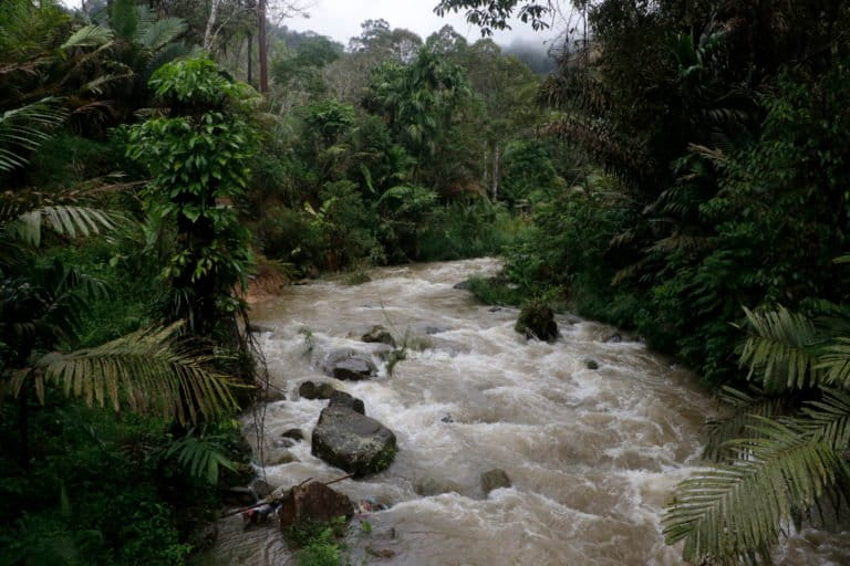 Anak sungai yang bermuara ke Sungai Batang Toru. Foto: Junaidi Hanafiah/ Mongabay Indonesia