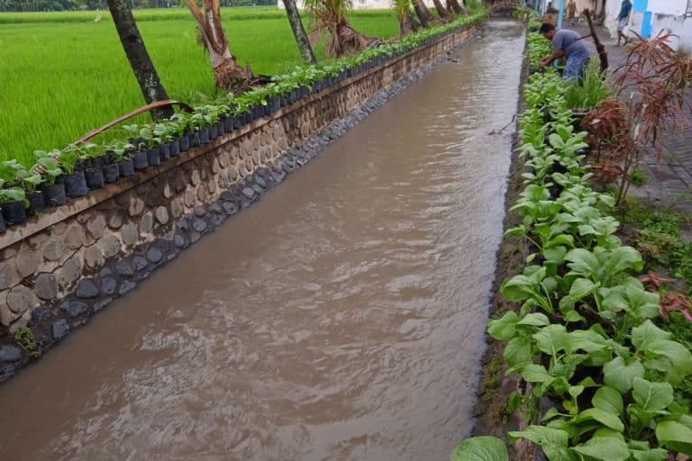 Agus Tri Setia memanfaatkan bantaran kali di kampungnya untuk tanam sayur mayur organik. Foto: Gafur Abdullah/ Mongabay Indonesia