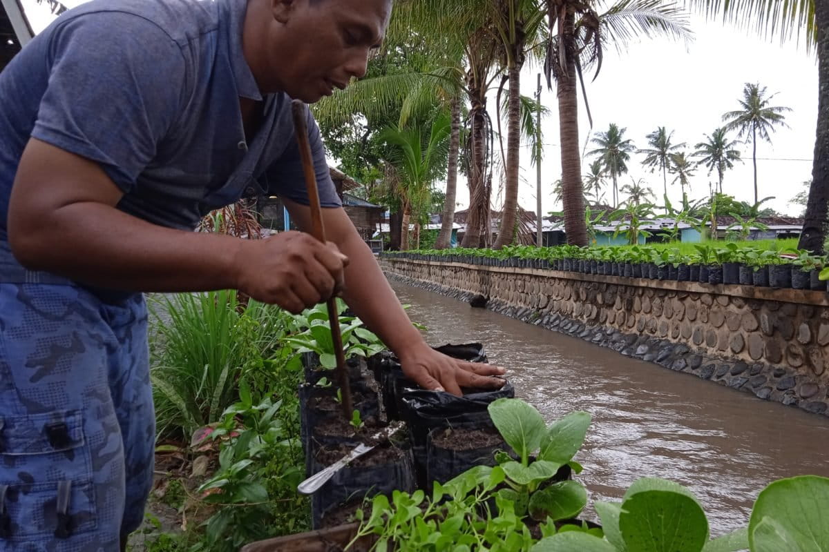 Agus Tri Setia sedang menyiram tanaman. Foto: Gafur Abdullah/ Mongabay Indonesia