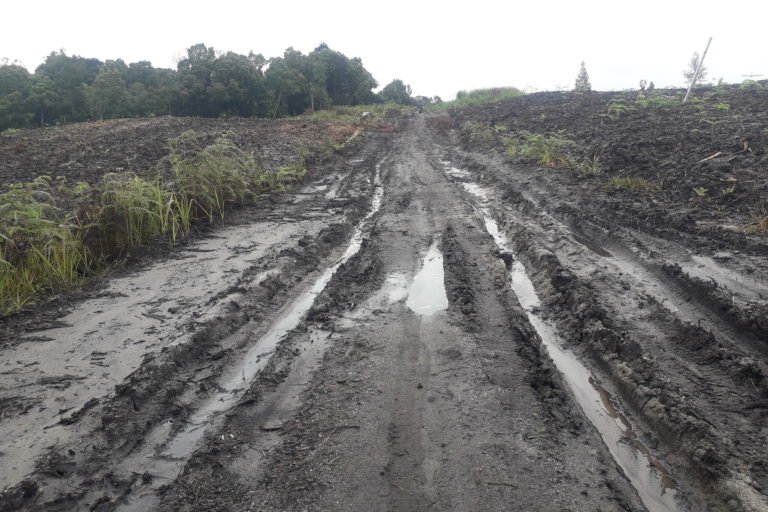 Jalan di area food estate. Kondisi jalan buruk ini juga menyulitkan petani. Foto: Yael Stephany