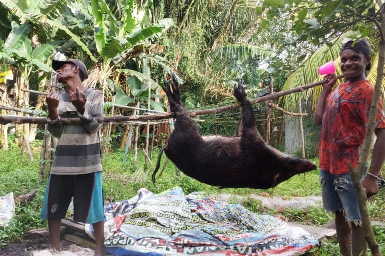 Kehidupan warga dari berburu dan meramu bisa hilang kalau sampai perusahaan sawit masuk di sorong Selatan. Foto: Tantowi Djauhari/ Mongabay Indonesia