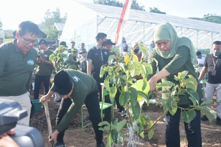 Gubernur Jatim, Khofifah Indar Parawansa didampingi Bupati Trenggalek, M. Nur Arifin melakukan penanaman bibit alpukat di Sukorejo, Kecamatan Gandusari, Kabupaten Trenggalek, Sabtu (10/12/2022). 