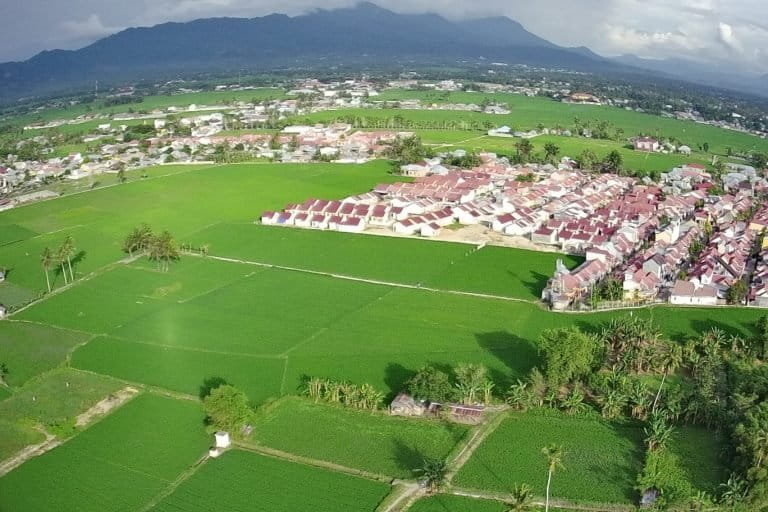 Lahan pertanian sawah di Kota Gorontalo, terdesak. Pemerintah Kota Gorontalo sudah mencanangkan 400 gektar lebih lahan jadi pertanian berkelanjutan. Foto: Sarjan Lahay/ Mongabay Indonesia