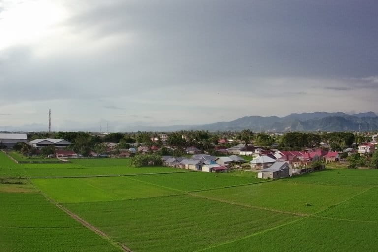 Lahan sawah di Kota Gorontalo, makin menyusut. Foto: Sarjan Lahay/ Mongabay Indonesia