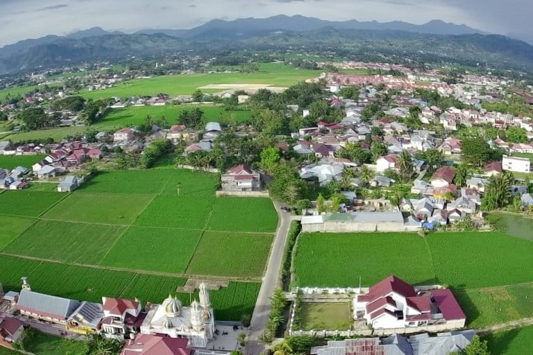 Lahan sawah makin terdesak pemukiman. Foto: Sarjan Lahay/ Mongabay Indonesia