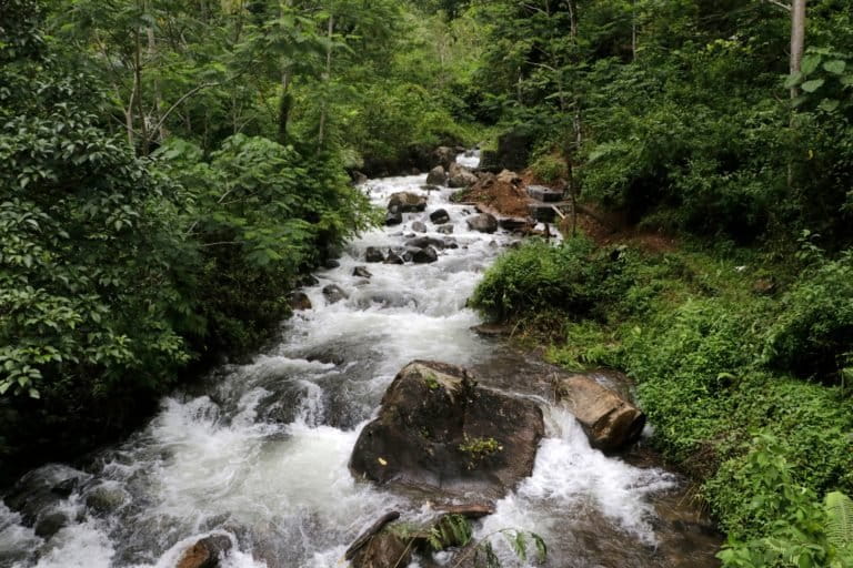 Sungai di Batang Toru dengan kiri kanan hutan terjaga. Hutan ini merupakan habitat orangutan Tapanuli. Foto: Junaidi Hanafiah/ Mongabay Indonesia 