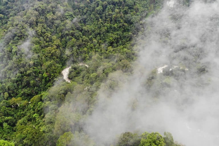 Hutan Batang Toru yang masih bertutupan lebat. Foto: Junaidi hanafiah/ Mongabay Indonesia