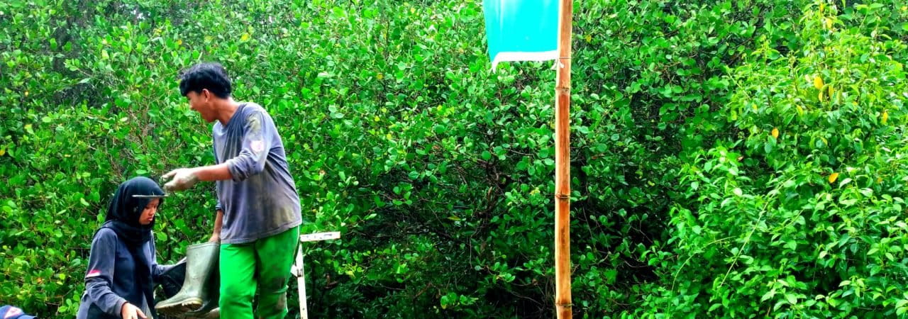 Relawan Mangrove Sampang. Foto: M Tamimi/ Mongabay Indonesia