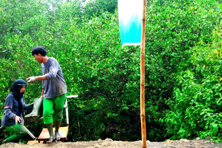 Relawan Mangrove Sampang. Foto: M Tamimi/ Mongabay Indonesia