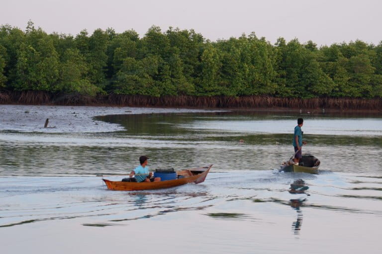 Dua orang nelayan melaut di pesisir Pancur Piayu Batam, kawasan ini mangrove cukup terjaga. Foto Yogi Eka Sahputra/ Mongabay Indonesia