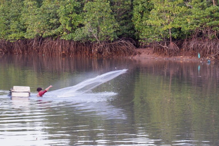 Nelayan menangkap udang pakai jaring di pesisir Batam. Foto Yogi Eka Sahputra/ Mongabay Indonesia