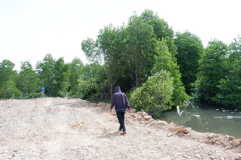 kawasan mangrove yang ditimbun untuk perumahan. Foto Yogi Eka Sahptura.JPG